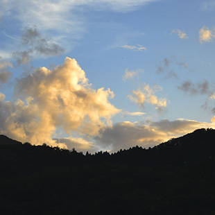 いわむロックFESTIVAL2025開催風景